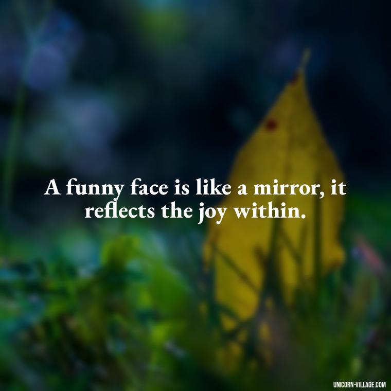 A funny face is like a mirror, it reflects the joy within. - Funny Face Expression Quotes