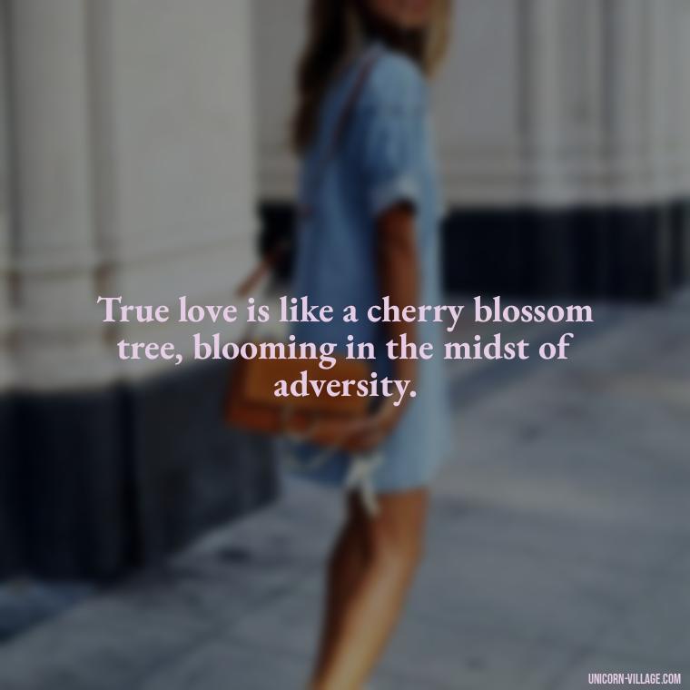 True love is like a cherry blossom tree, blooming in the midst of adversity. - Japanese Love Quotes
