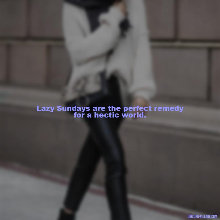 Lazy Sundays are the perfect remedy for a hectic world. - Lazy Sunday Quotes