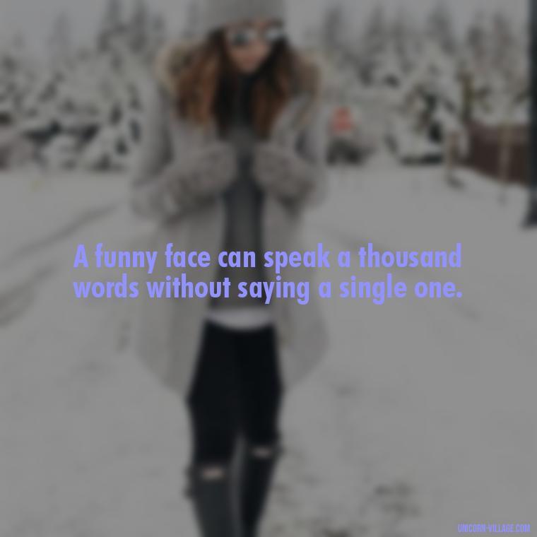 A funny face can speak a thousand words without saying a single one. - Funny Face Expression Quotes