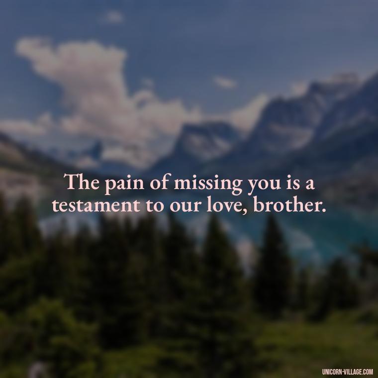 The pain of missing you is a testament to our love, brother. - Miss You Brother Quotes