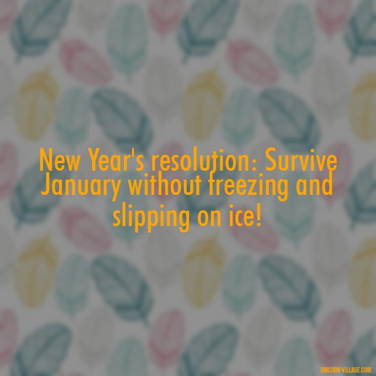 New Year's resolution: Survive January without freezing and slipping on ice! - January Funny Quotes
