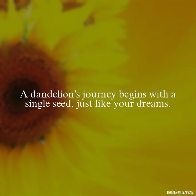A dandelion's journey begins with a single seed, just like your dreams. - Meaningful Dandelion Quotes