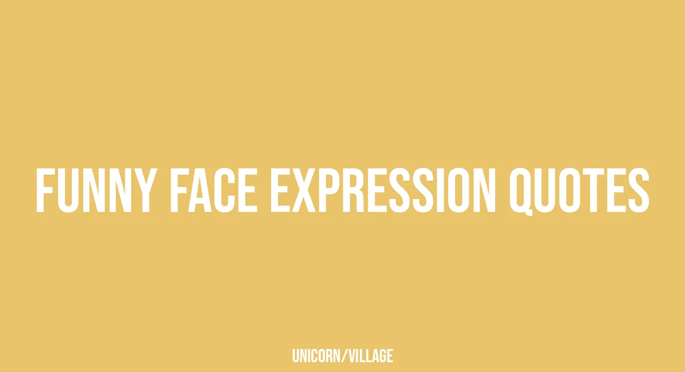 +26 Funny Face Expression Quotes — Unicorn Village — Unique Homemade