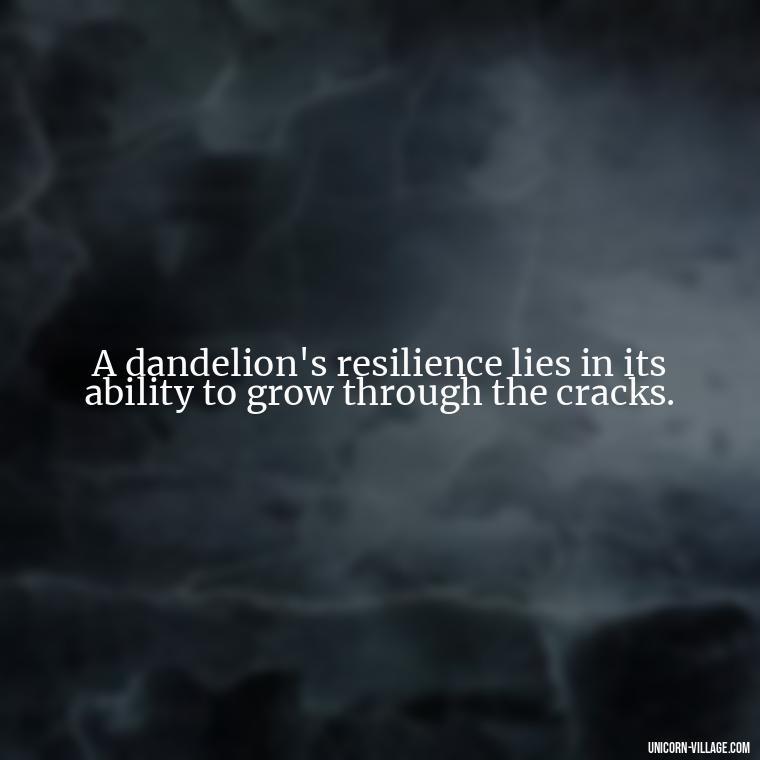 A dandelion's resilience lies in its ability to grow through the cracks. - Meaningful Dandelion Quotes