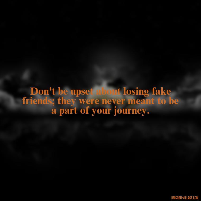 Don't be upset about losing fake friends; they were never meant to be a part of your journey. - Hate Fake Friends Quotes