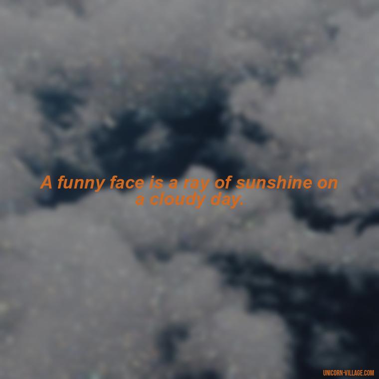A funny face is a ray of sunshine on a cloudy day. - Funny Face Expression Quotes
