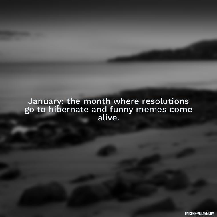January: the month where resolutions go to hibernate and funny memes come alive. - January Funny Quotes