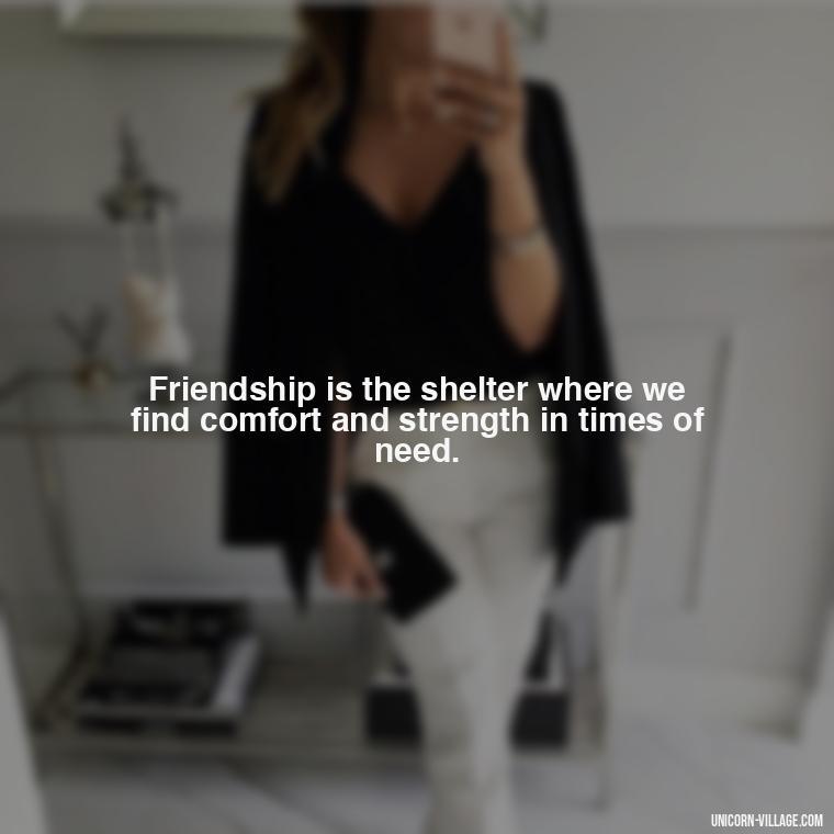 Friendship is the shelter where we find comfort and strength in times of need. - Rumi Quotes About Friendship