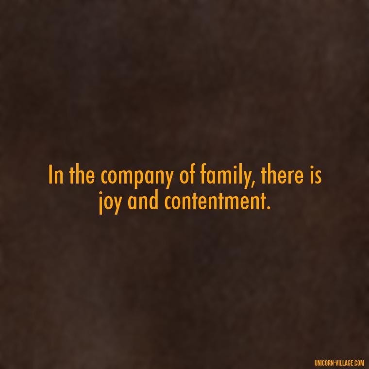 In the company of family, there is joy and contentment. - Islamic Quotes About Family