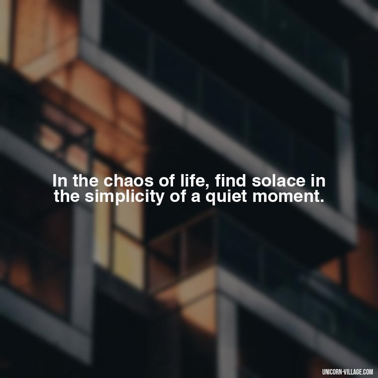 In the chaos of life, find solace in the simplicity of a quiet moment. - Relax And Chill Quotes