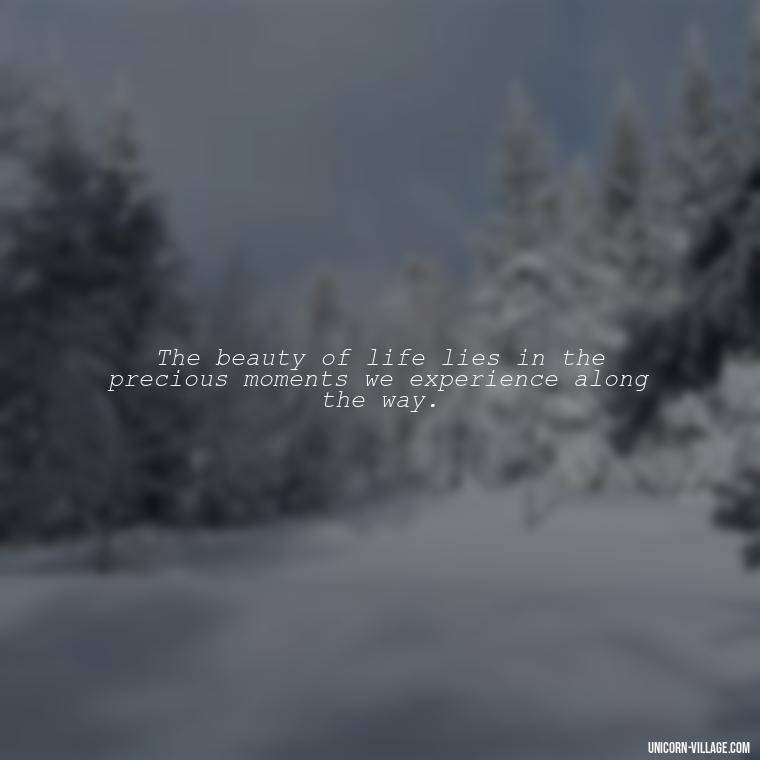The beauty of life lies in the precious moments we experience along the way. - Precious Moments Quotes