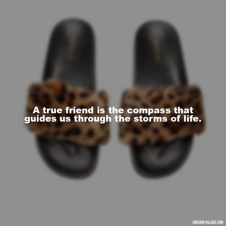 A true friend is the compass that guides us through the storms of life. - Rumi Quotes About Friendship