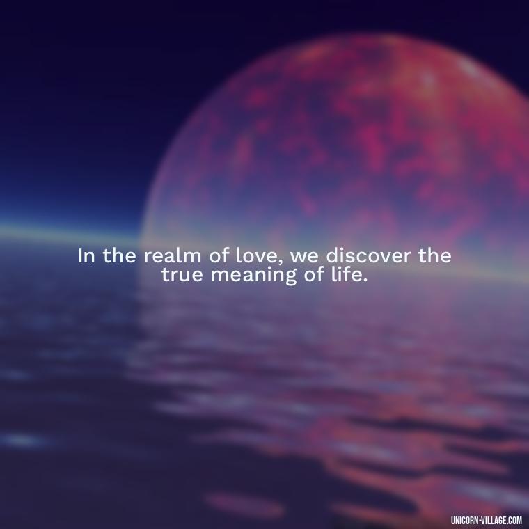 In the realm of love, we discover the true meaning of life. - Quotes By Aphrodite