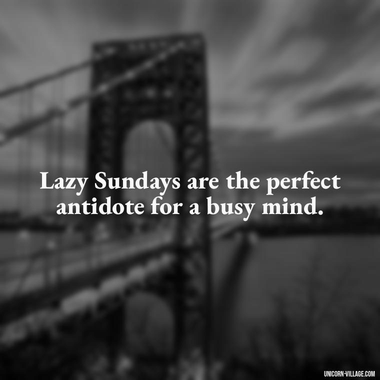 Lazy Sundays are the perfect antidote for a busy mind. - Lazy Sunday Quotes